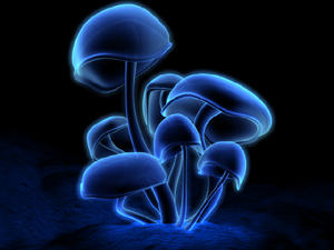 Fluorescence:  Created in 1999 using Lightwave